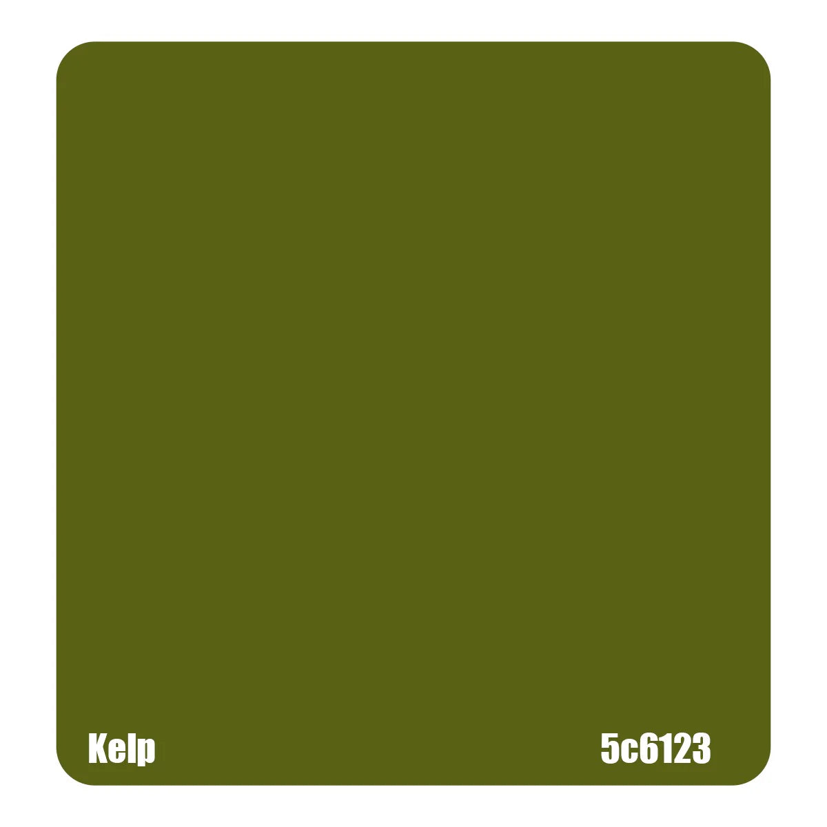 Kelp