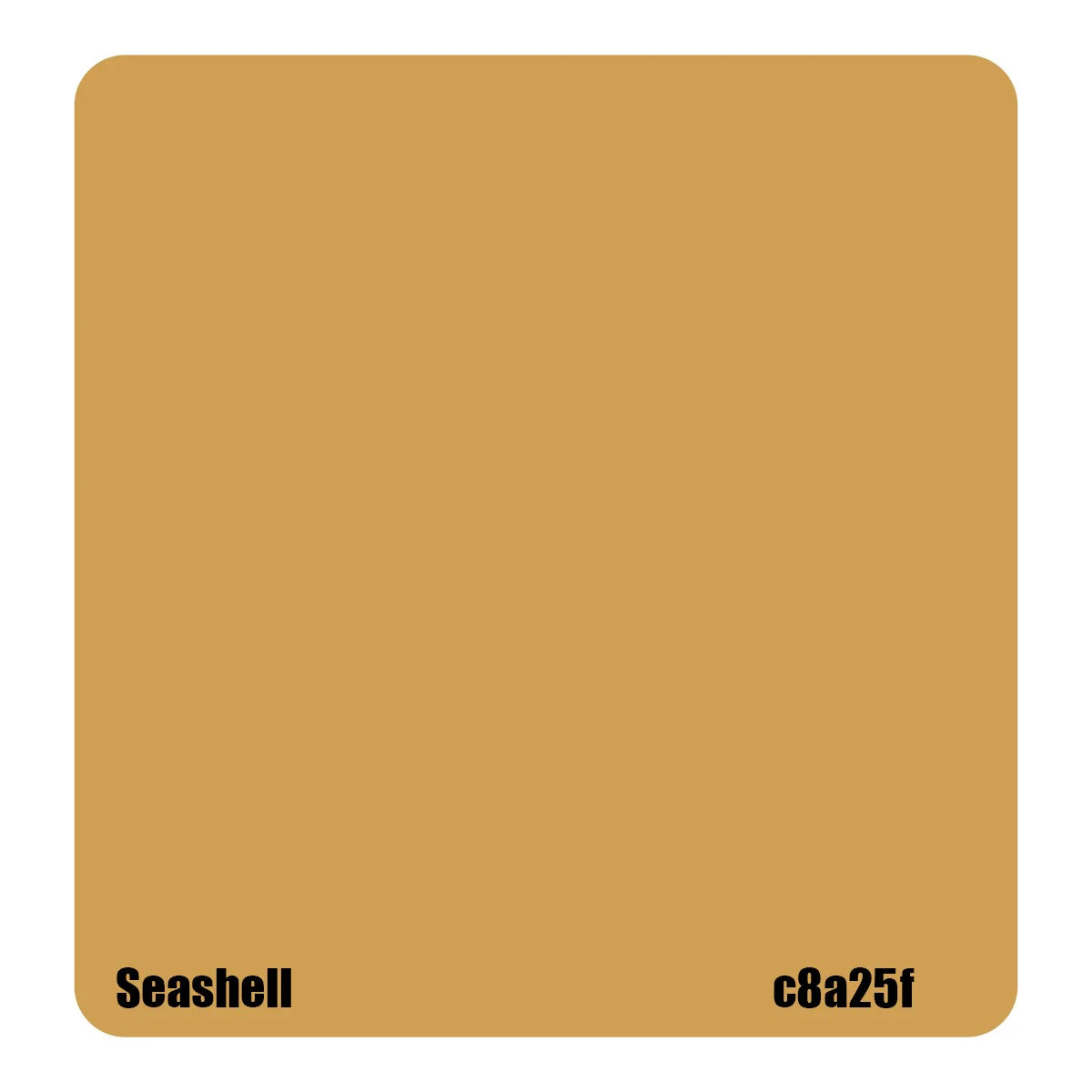SEASHELL